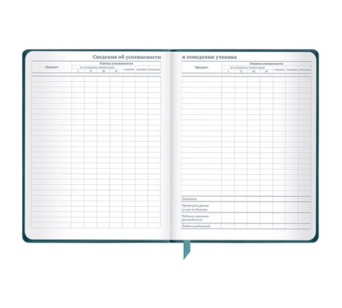 Дневник 1-11 класс 48 л., кожзам (твердая), печать, резинка, конверт, BRAUBERG, 