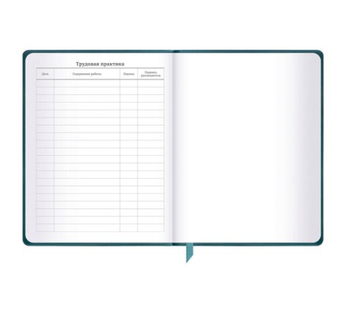 Дневник 1-11 класс 48 л., кожзам (твердая), печать, резинка, конверт, BRAUBERG, 