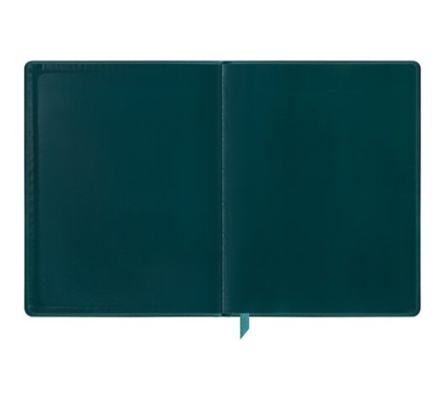 Дневник 1-11 класс 48 л., кожзам (твердая), печать, резинка, конверт, BRAUBERG, 