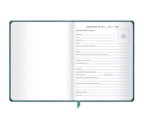 Дневник 1-11 класс 48 л., кожзам (твердая), печать, резинка, конверт, BRAUBERG, 