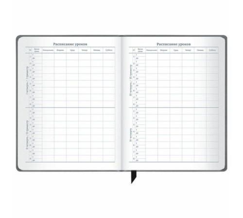 Дневник 1-11 класс 48 л., кожзам (твердая), печать, резинка, конверт, BRAUBERG, 