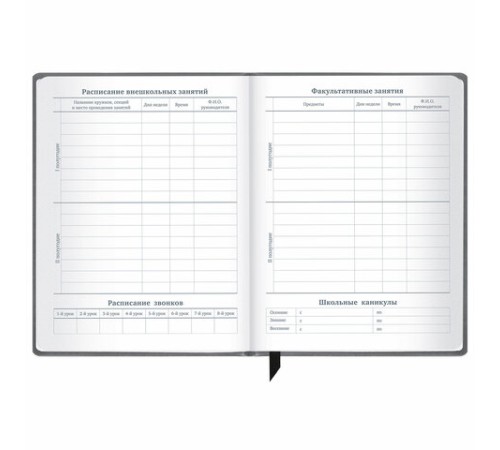 Дневник 1-11 класс 48 л., кожзам (твердая), печать, резинка, конверт, BRAUBERG, 