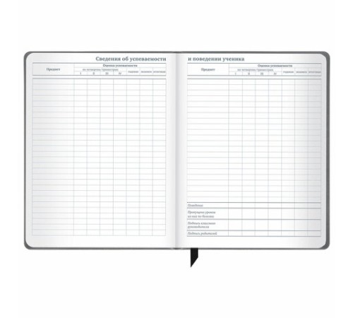 Дневник 1-11 класс 48 л., кожзам (твердая), печать, резинка, конверт, BRAUBERG, 