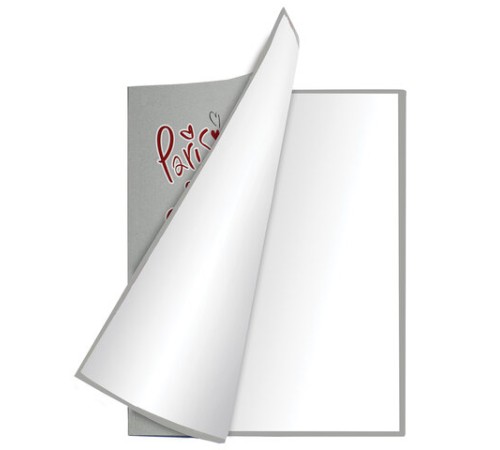 Дневник 1-4 класс 48 л., гибкая обложка, ЮНЛАНДИЯ, выборочный лак, с подсказом, 