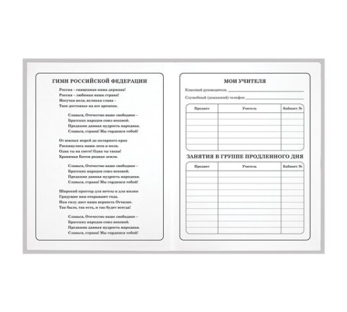 Дневник 1-4 класс 48 л., гибкая обложка, ЮНЛАНДИЯ, выборочный лак, с подсказом, 