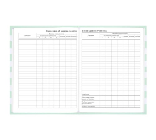 Дневник 1-11 класс 48 л., твердый, BRAUBERG, блестки, с подсказом, 