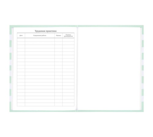 Дневник 1-11 класс 48 л., твердый, BRAUBERG, блестки, с подсказом, 