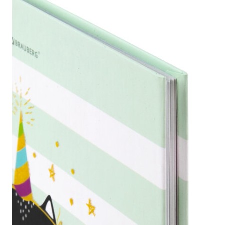 Дневник 1-11 класс 48 л., твердый, BRAUBERG, блестки, с подсказом, 