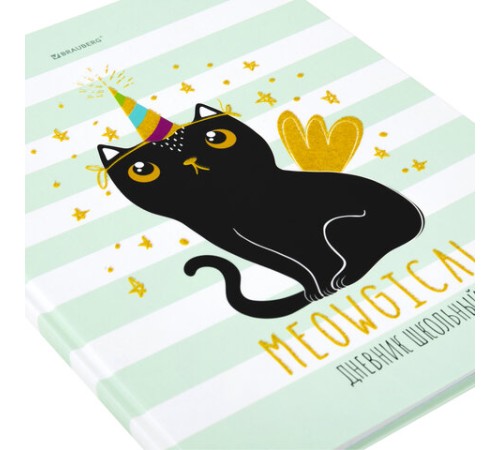 Дневник 1-11 класс 48 л., твердый, BRAUBERG, блестки, с подсказом, 