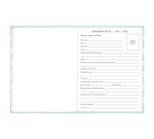 Дневник 1-11 класс 48 л., твердый, BRAUBERG, блестки, с подсказом, 