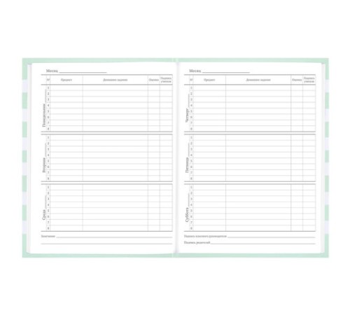 Дневник 1-11 класс 48 л., твердый, BRAUBERG, блестки, с подсказом, 