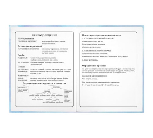 Дневник 1-4 класс 48 л., твердый, ЮНЛАНДИЯ, блестки, с подсказом, 