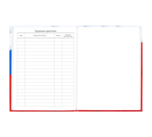 Дневник 5-11 класс 48 л., твердый, BRAUBERG, глянцевая ламинация, с подсказом, 