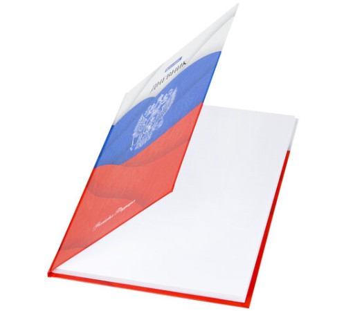 Дневник 5-11 класс 48 л., твердый, BRAUBERG, глянцевая ламинация, с подсказом, 