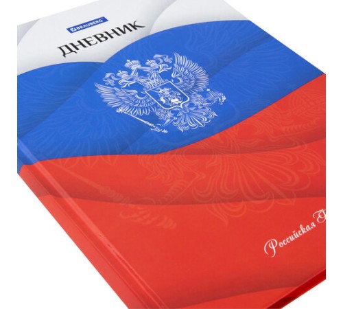 Дневник 5-11 класс 48 л., твердый, BRAUBERG, глянцевая ламинация, с подсказом, 