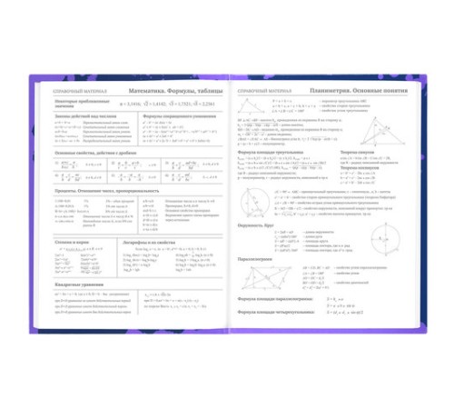 Дневник 5-11 класс 48 л., твердый, BRAUBERG, глянцевая ламинация, с подсказом, 