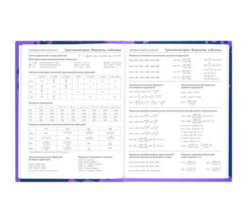 Дневник 5-11 класс 48 л., твердый, BRAUBERG, глянцевая ламинация, с подсказом, 