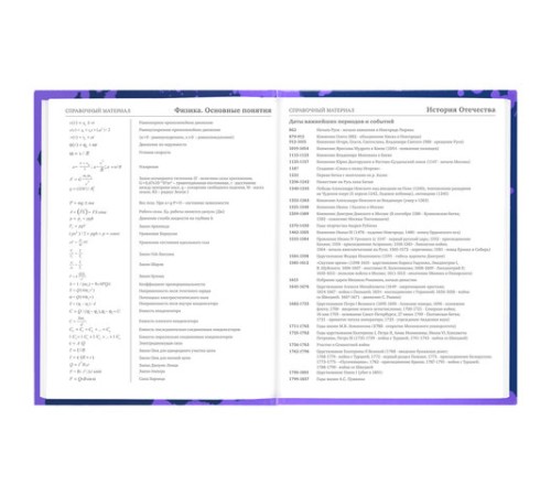 Дневник 5-11 класс 48 л., твердый, BRAUBERG, глянцевая ламинация, с подсказом, 