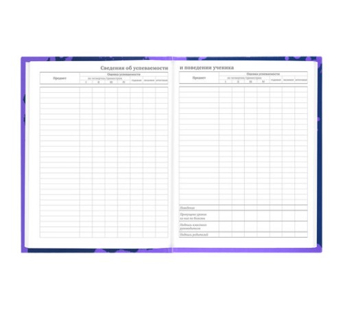 Дневник 5-11 класс 48 л., твердый, BRAUBERG, глянцевая ламинация, с подсказом, 