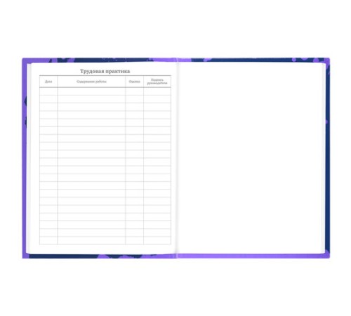 Дневник 5-11 класс 48 л., твердый, BRAUBERG, глянцевая ламинация, с подсказом, 