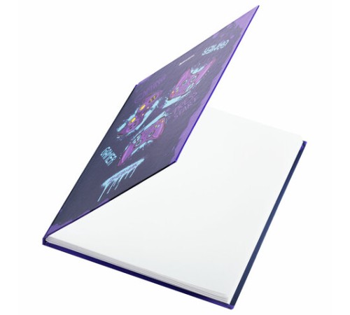 Дневник 5-11 класс 48 л., твердый, BRAUBERG, глянцевая ламинация, с подсказом, 