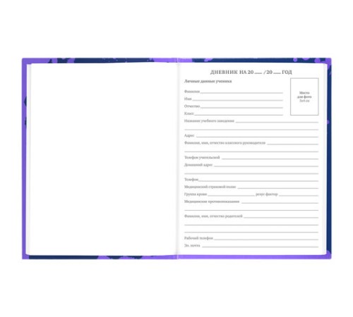 Дневник 5-11 класс 48 л., твердый, BRAUBERG, глянцевая ламинация, с подсказом, 