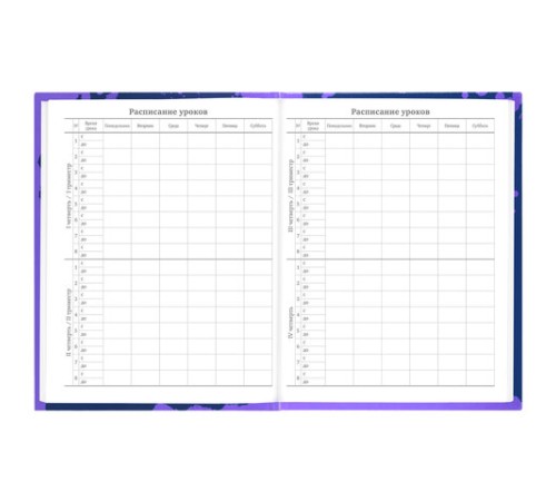 Дневник 5-11 класс 48 л., твердый, BRAUBERG, глянцевая ламинация, с подсказом, 