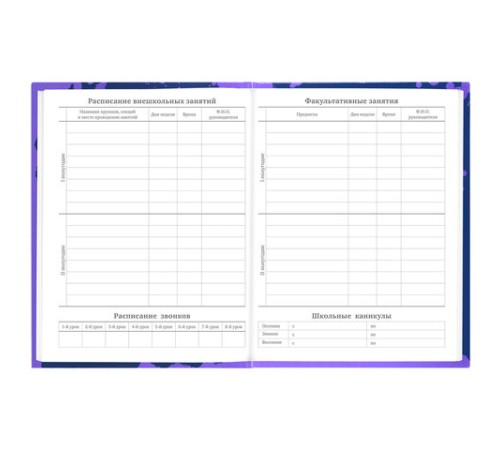 Дневник 5-11 класс 48 л., твердый, BRAUBERG, глянцевая ламинация, с подсказом, 