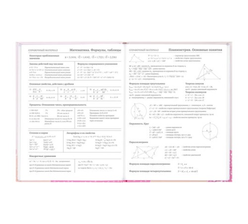 Дневник 5-11 класс 48 л., твердый, BRAUBERG, глянцевая ламинация, с подсказом, 