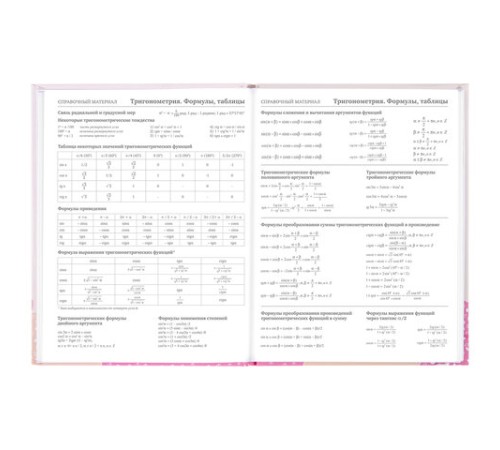 Дневник 5-11 класс 48 л., твердый, BRAUBERG, глянцевая ламинация, с подсказом, 