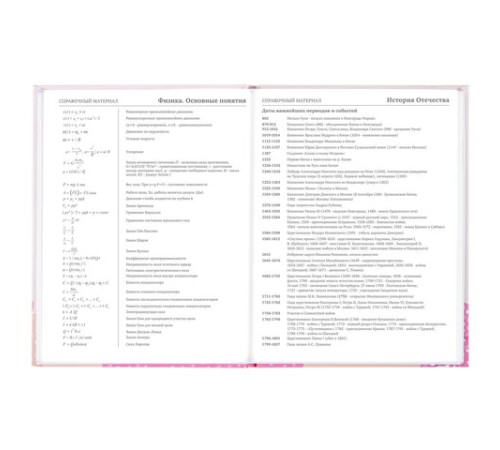 Дневник 5-11 класс 48 л., твердый, BRAUBERG, глянцевая ламинация, с подсказом, 