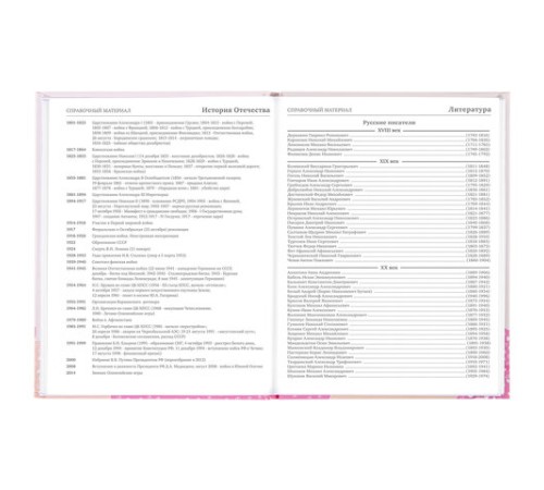 Дневник 5-11 класс 48 л., твердый, BRAUBERG, глянцевая ламинация, с подсказом, 