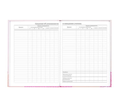 Дневник 5-11 класс 48 л., твердый, BRAUBERG, глянцевая ламинация, с подсказом, 