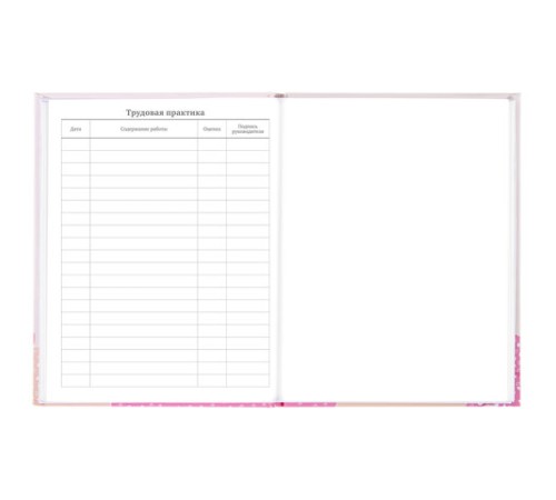 Дневник 5-11 класс 48 л., твердый, BRAUBERG, глянцевая ламинация, с подсказом, 