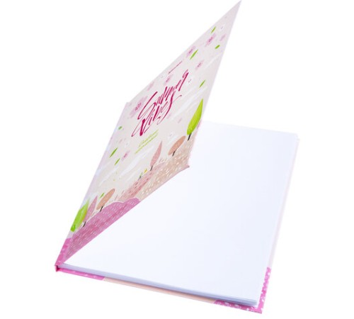 Дневник 5-11 класс 48 л., твердый, BRAUBERG, глянцевая ламинация, с подсказом, 