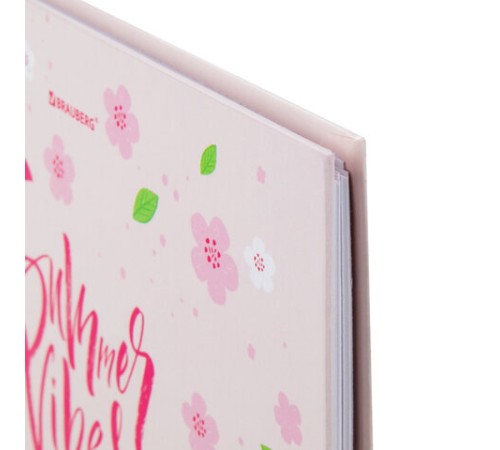 Дневник 5-11 класс 48 л., твердый, BRAUBERG, глянцевая ламинация, с подсказом, 