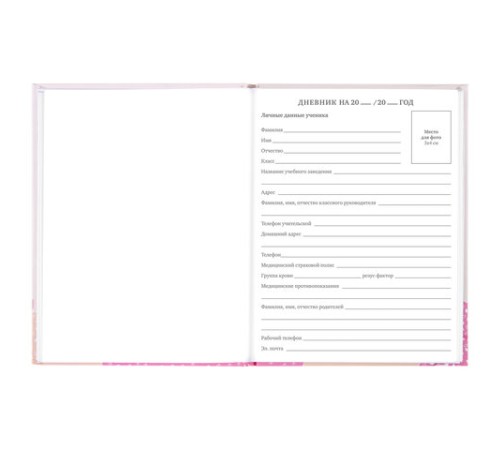 Дневник 5-11 класс 48 л., твердый, BRAUBERG, глянцевая ламинация, с подсказом, 