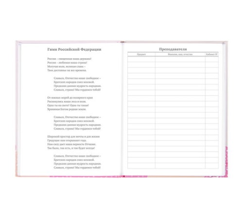 Дневник 5-11 класс 48 л., твердый, BRAUBERG, глянцевая ламинация, с подсказом, 