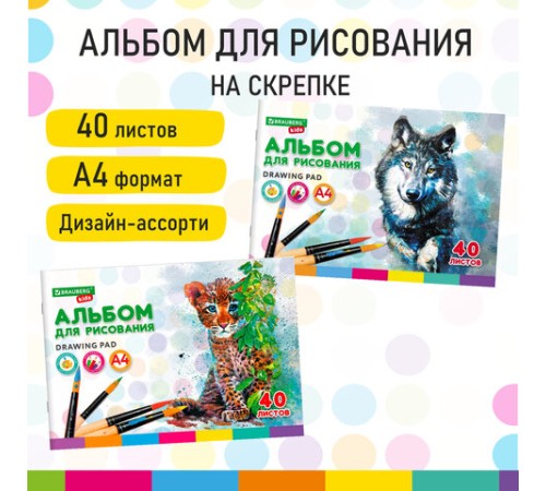 Альбом для рисования, А4, 40 листов, скоба, обложка картон, BRAUBERG KIDS, 200х285 мм, 