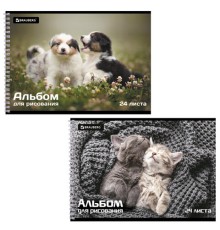 Альбом для рисования А4, 24 листа, гребень, обложка картон, BRAUBERG, 195х285 мм, 