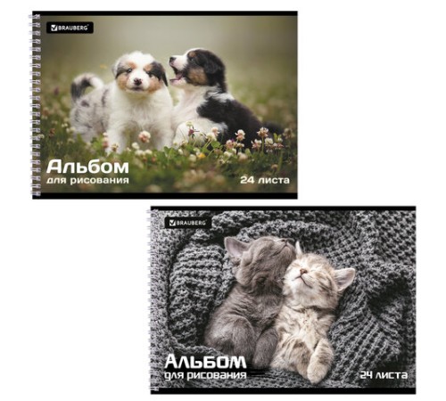 Альбом для рисования А4, 24 листа, гребень, обложка картон, BRAUBERG, 195х285 мм, 