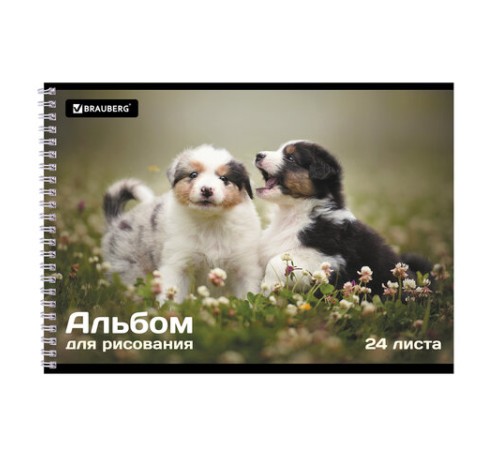 Альбом для рисования А4, 24 листа, гребень, обложка картон, BRAUBERG, 195х285 мм, 