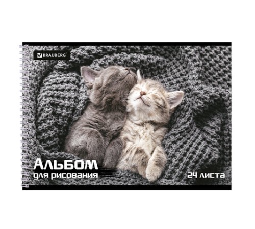 Альбом для рисования А4, 24 листа, гребень, обложка картон, BRAUBERG, 195х285 мм, 