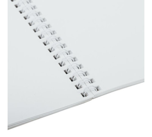 Альбом для рисования А4, 24 листа, гребень, обложка картон, BRAUBERG, 195х285 мм, 