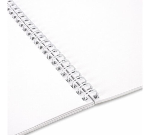 Альбом для рисования А4 32 л., гребень, выборочный лак, BRAUBERG, 195х285 мм, 