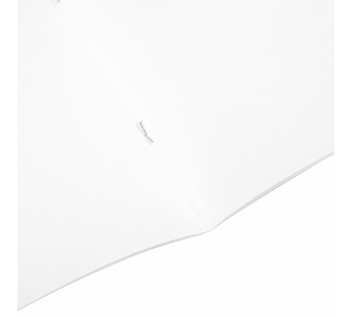 Альбом для рисования А4 40 л., скоба, обложка офсет, ПИФАГОР, 203х288 мм, 