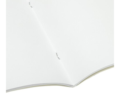 Альбом для рисования А4, 40 листов, скоба, обложка картон, BRAUBERG, 205х290 мм, 