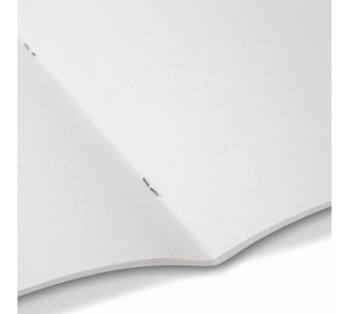 Альбом для рисования А4 40 л., скоба, обложка картон, BRAUBERG, 205х290 мм, 