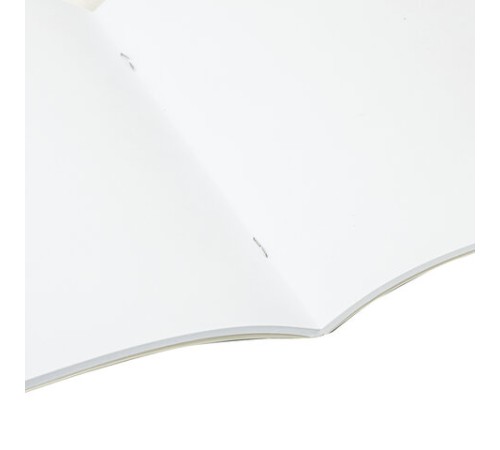 Альбом для рисования, А4, 40 листов, скоба, глянцевый лак, BRAUBERG, 200х285 мм, 