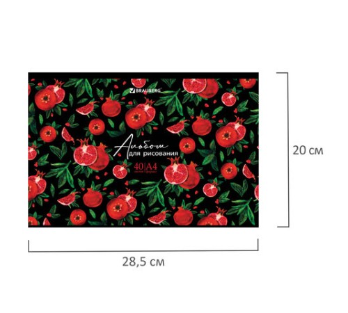 Альбом для рисования, А4, 40 листов, скоба, глянцевый лак, BRAUBERG, 200х285 мм, 